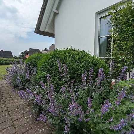 Apartment Am Boddenweg - Sunddriewer Born